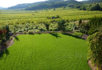 Top over Vienna, Perchtoldsdorf Weinberge ideal with car allows 18 year olds to book a room