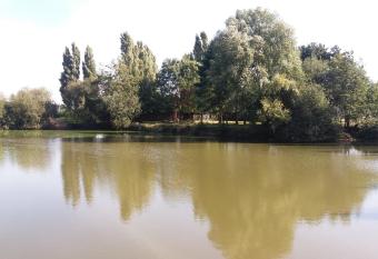 Rosy Garden in the winter allows 18 year olds to book a room