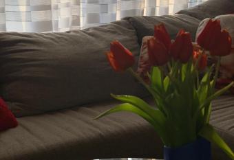 Little Heaven allows 18 year olds to book a room