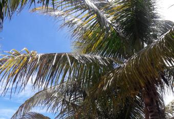 Margarita del Sol Hotel Costa Maya allows 18 year olds to book a room