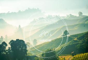 80 S PARADISE has Balcony rooms