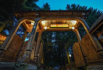 Pensiunea Sura Dacilor - Alex has Balcony rooms