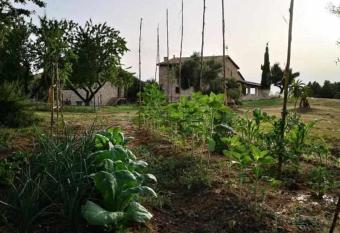 Casa rural restaurante Mas Del Rei allows 18 year olds to book a room