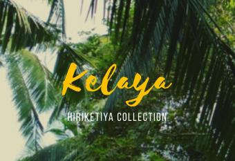 Kelaya at Hiriketiya Collection has Balcony rooms
