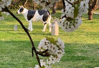 VILLA CATHY Chambres d h  tes has Balcony rooms