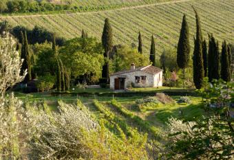 Podere Montese Country House allows 18 year olds to book a room