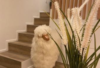 Le Mouton    5 Pattes Aubagne-Cassis-Aix en Provence allows 18 year olds to book a room