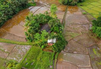 Serenity - Sinharaja has Balcony rooms