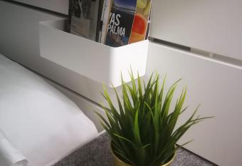 J&E Flat Santa Cruz de la Palma allows 18 year olds to book a room