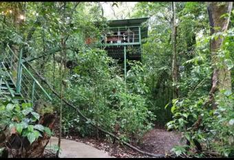 Jungle Living Tree Houses allows 18 year olds to book a room