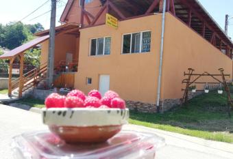 Fructele Padurii has Balcony rooms