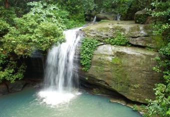 Buderim Forest Hideaway has Balcony rooms