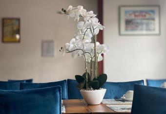 Hotel le Pasteur has Balcony rooms