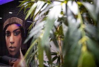 House of Mac Apartments has Balcony rooms