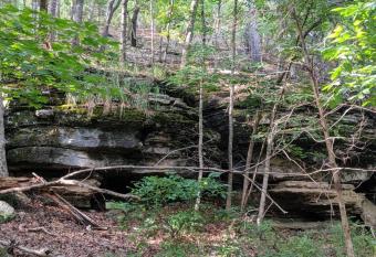 Loblolly Pines Adventure Cabin 1 Q/Q has Balcony rooms