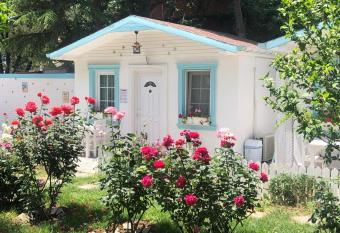 Poyraz Resort allows 18 year olds to book a room