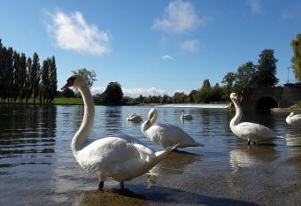 APARTMAN NENA has Balcony rooms