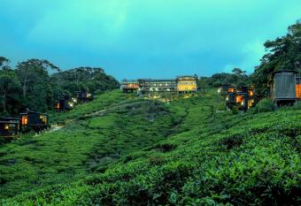 The Rainforest Ecolodge - Sinharaja has Balcony rooms