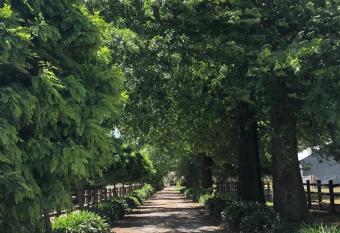 Oak Lane Guest House & Farm Stay allows 18 year olds to book a room