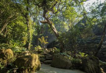 Great Roots Forestry Spa Resort allows 18 year olds to book a room