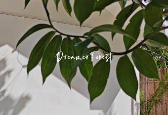 Dreamer.Forest has Balcony rooms