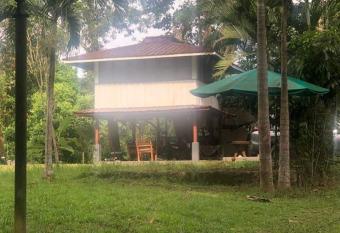 A charming treehouse-with airport pick up allows 18 year olds to book a room