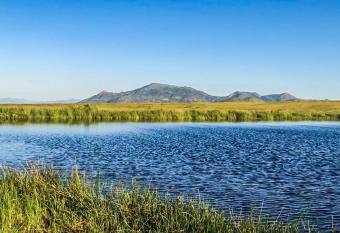 Sukisinyoni Guest Home has Balcony rooms