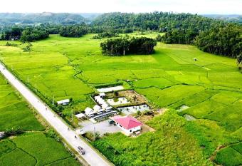 Jazz Ferme Inn Batuan Bohol has Balcony rooms