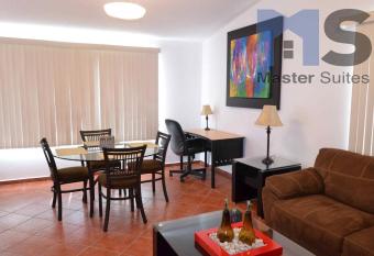 Espectacular Suite Alberca   reas Verdes Blvd B Quintana 15D allows 18 year olds to book a room