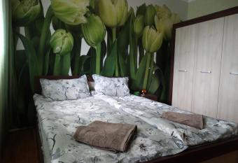 Tulips - guest room close to the Airport, free street parking allows 18 year olds to book a room