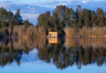 Plana Resort & SPA has Balcony rooms
