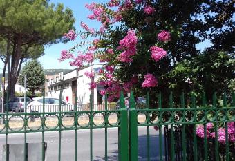 La Casetta Dei Cedri has Balcony rooms