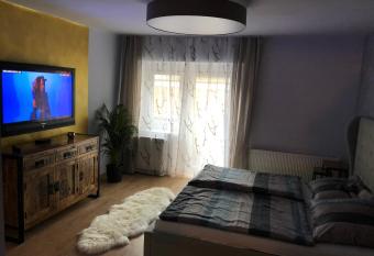 Wohlf  hlappartment in der Altstadt von Steyr has Balcony rooms