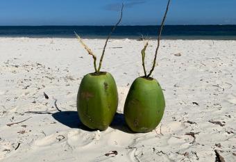 Elegant Studio Bamburi Beach allows 18 year olds to book a room