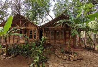 Backyard Hostel Moshi has Balcony rooms