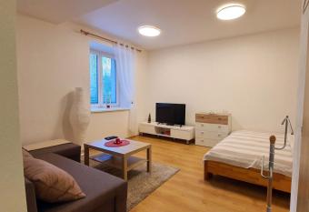 apartm  n U Moravy allows 18 year olds to book a room