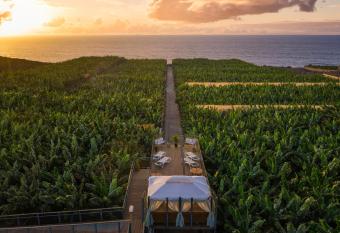 Hacienda La Dehesa (Only Adults) allows 18 year olds to book a room