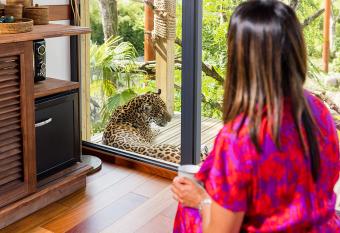 Parrot World - Les Lodges has Balcony rooms