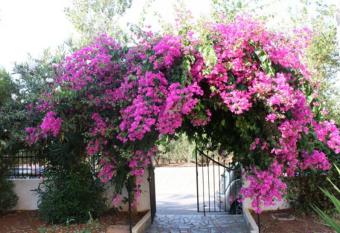 Alex Home Apartments has Balcony rooms