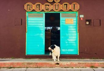 Hostel El Nagual has Balcony rooms