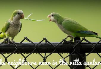 Villa sunlara allows 18 year olds to book a room