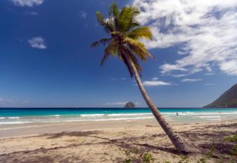 Studio A101, pr  s de la mer Village du Diamant has Balcony rooms