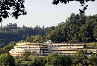 Mercure Hotel Panorama Freiburg has Balcony rooms