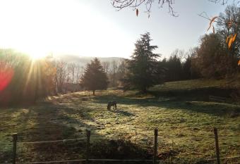 La grange du kerala allows 18 year olds to book a room