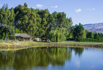 Dunstan Road B&B allows 18 year olds to book a room