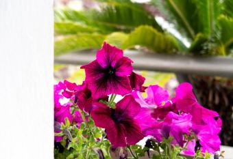 B&B Meraviglie D Abruzzo Montesilvano allows 18 year olds to book a room