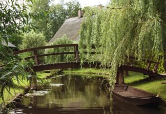 Hotelanlage Starick has Balcony rooms