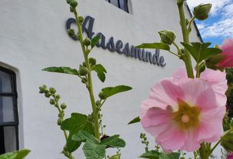 Aasesminde allows 18 year olds to book a room