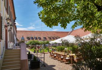 Schloss Reinach has Balcony rooms