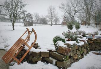 The Green House has Balcony rooms